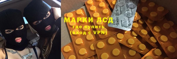 шишки Аркадак