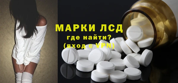 шишки Аркадак