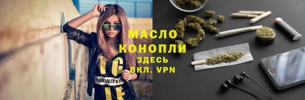 сатива Армянск