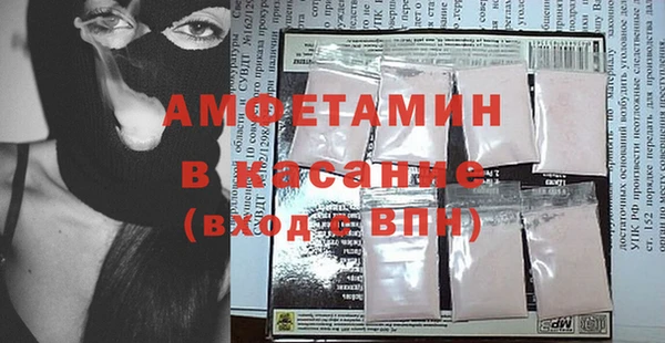 шишки Аркадак