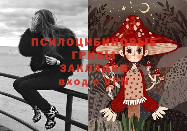 шишки Аркадак