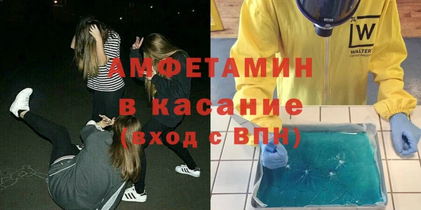 сатива Армянск