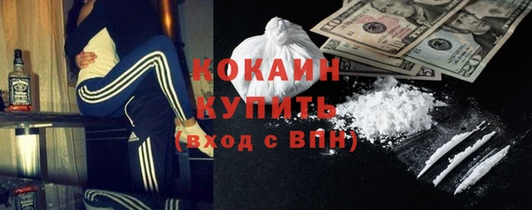 шишки Аркадак