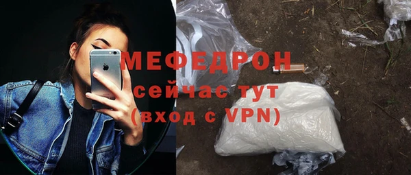 шишки Аркадак