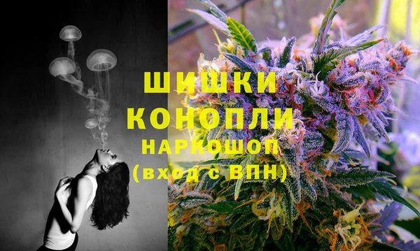 шишки Аркадак