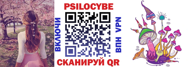 мориарти какой сайт  Полярные Зори  Галлюциногенные грибы Psilocybe 
