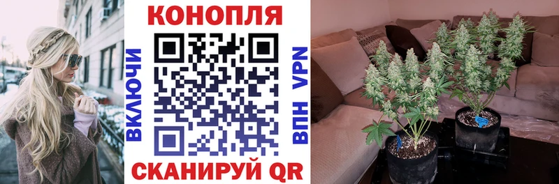 Бошки марихуана Amnesia Полярные Зори